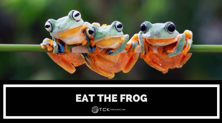 Eat the Frog: How to Boost Your Productivity